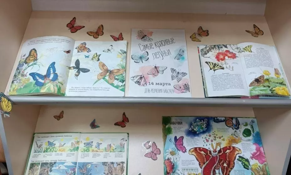 Книжно-иллюстративная выставка «Удивительный мир бабочек»