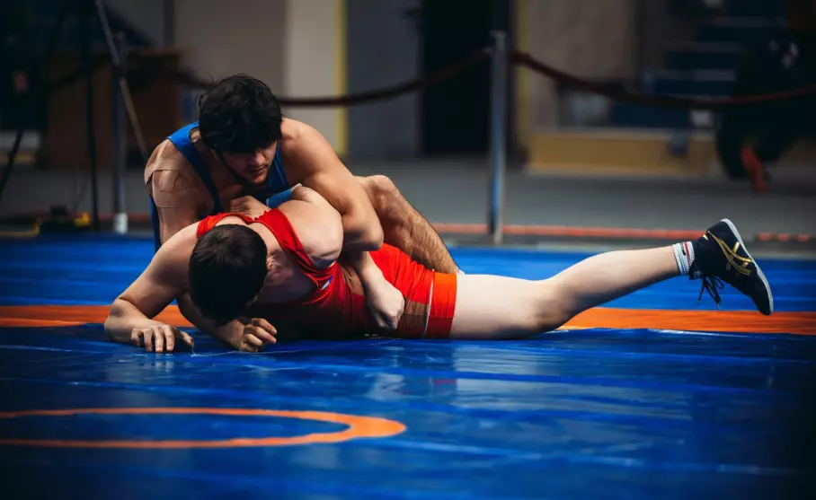 Первенство Владимирской области по спортивной борьбе