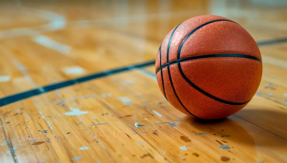 Чемпионат Владимирской области по баскетболу