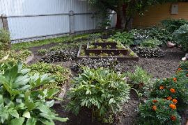 Добрятино16.08.2024_756200054.JP