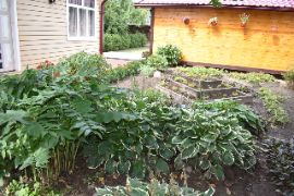 Добрятино16.08.2024_756200042.JP