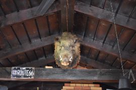 Добрятино16.08.2024_756200052.JP