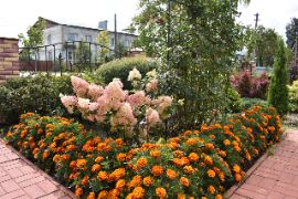 Добрятино16.08.2024_756200056.JP