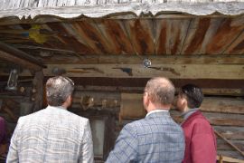 Добрятино16.08.2024_756200053.JP