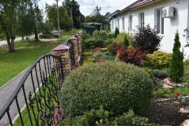 Добрятино16.08.2024_756200037.JP