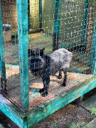 LZEdPUCwlNcP1KKNxjeWiMuKhKNFjaaW