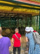 BP7NdxxtiUeDXfllyxVV5tcis4S0_S9h