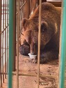 d-HadnTeTDwFSNK3nLmgbiPapAJdtxu2