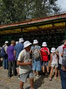 WEEKsjjKL4axDA3jgw_X34BkEoYeCFGC