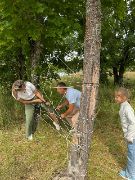 Y-JTGMWKsJYnqx8p2kVg50zNSACuknqN