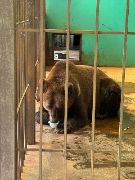 v5k6PH2QQagvAKirlavYi6bGsoRTBgSc