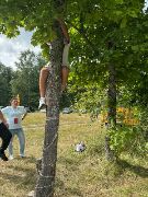 gLNNgPyZUhTtz2NxbNL2zNJ_YVARY0NT