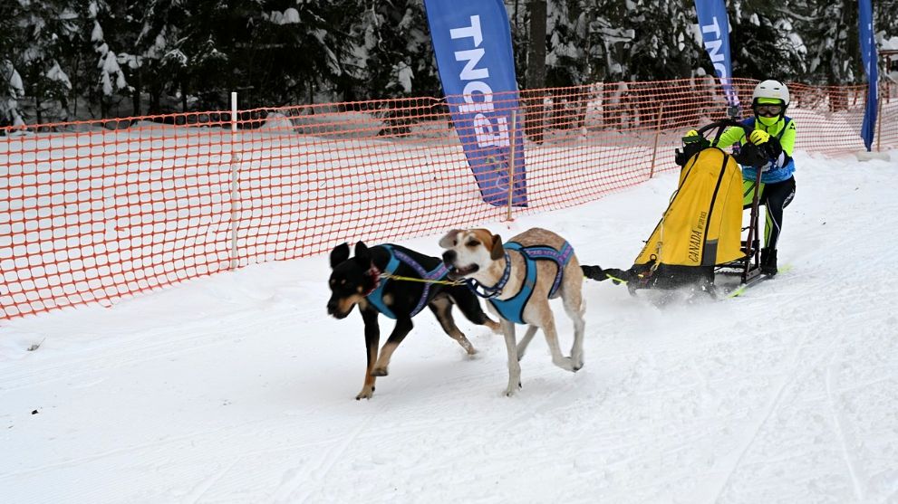 В Гусь-Хрустальном м...