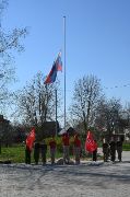 DSC_9134.JPG