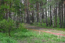 DSC_1183.JPG