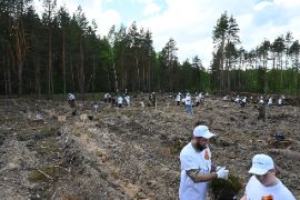 DSC_1295.JPG