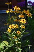00000000001009