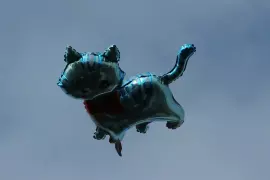 ко­тэ в по­лёте на мас­ленни­цу)