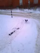 Кто это сде­лал?