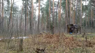 Район Бариновой рощи.