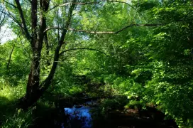 Речка Варварка в районе Арматурного завода