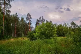 В городской черте.