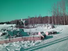 Вы­пи­ли­ли все де­ревья! Что бу­дет даль­ше?