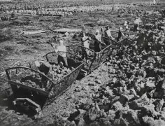 Торф для Победы