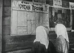 Торф для победы